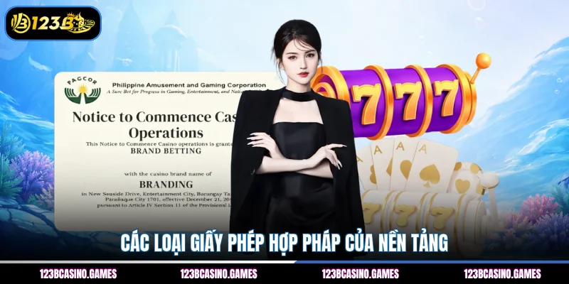 Giấy Phép Hoạt Động 3 Các loại giấy phép hợp pháp của nền tảng