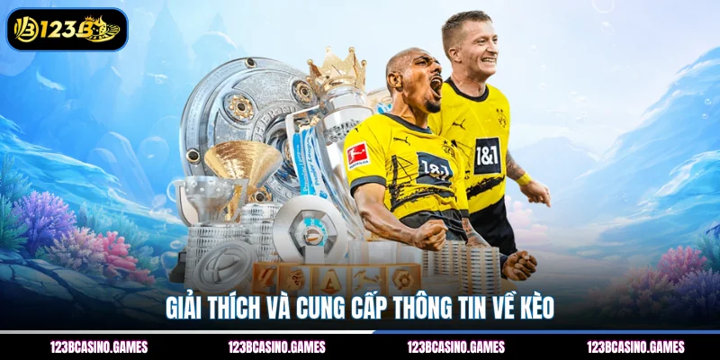 Giải thích và cung cấp thông tin về kèo 