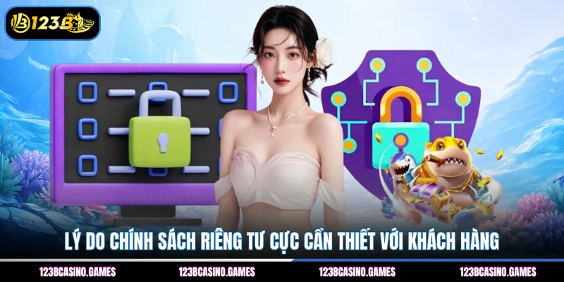 Quyền Riêng Tư 1 Lý do chính sách riêng tư cực cần thiết với khách hàng