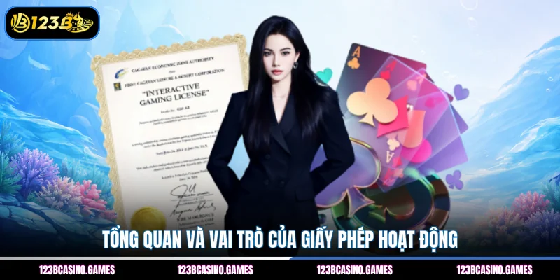 Giấy Phép Hoạt Động 1 Tổng quan và vai trò của giấy phép hoạt động